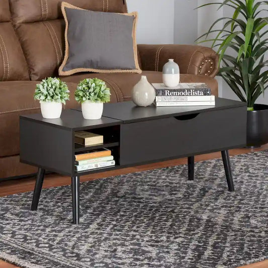 Roden Modern Two-Tone Black and Espresso Brown Finished Wood Coffee Table with Lift-Top Storage Compartment